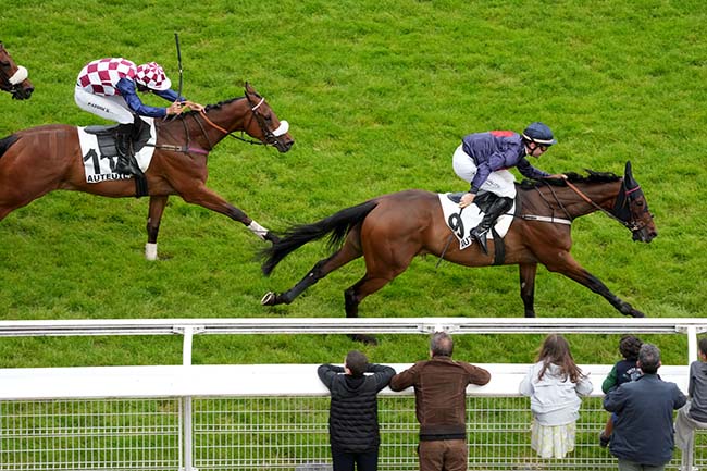 Photo d'arrivée de la course pmu PRIX DANIEL LESCALLE à AUTEUIL le Samedi 15 juin 2024