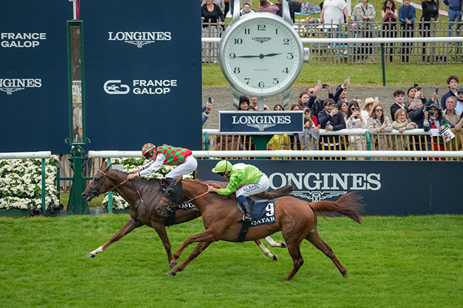 Photo d'arrivée de la course pmu QATAR DERBY DES PUR-SANG ARABES DE 4 ANS à CHANTILLY le Dimanche 16 juin 2024