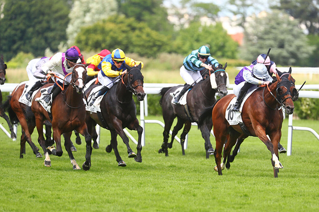 Arrivée quinté pmu PRIX MAGIC NIGHT à SAINT CLOUD