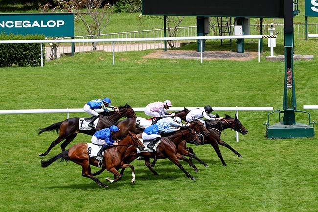 Photo d'arrivée de la course pmu PRIX LA TROIENNE à SAINT CLOUD le Lundi 17 juin 2024