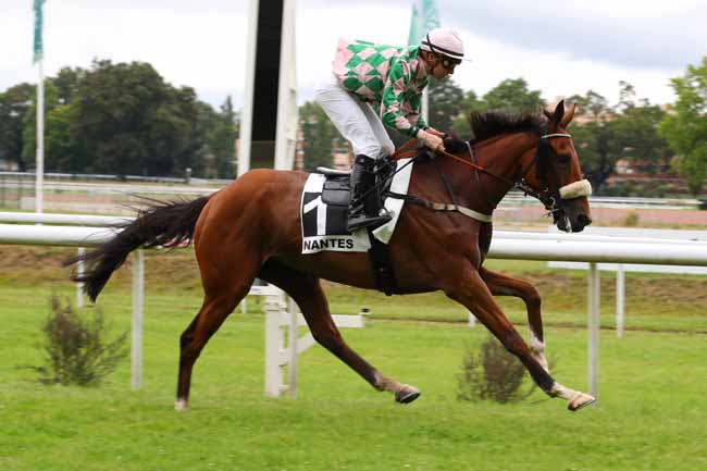 Photo d'arrivée de la course pmu PRIX DE LAPEROUSE à NANTES le Mardi 18 juin 2024