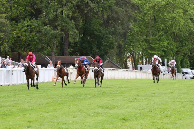 Photo d'arrivée de la course pmu PRIX SARAH GOSSE à NANTES le Mardi 18 juin 2024