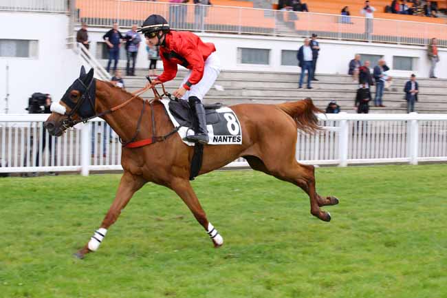 Photo d'arrivée de la course pmu PRIX DE COUFFE à NANTES le Mardi 18 juin 2024