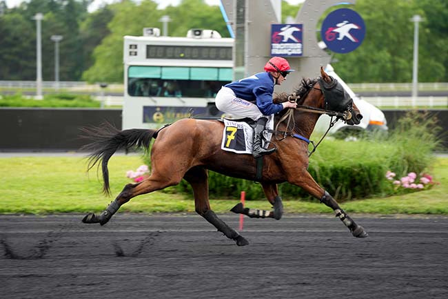 Photo d'arrivée de la course pmu PRIX CHALDAEA à PARIS-VINCENNES le Mardi 18 juin 2024