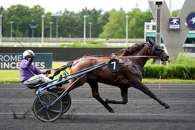 Photo d'arrivée de la course pmu PRIX MARIA à PARIS-VINCENNES le Mardi 18 juin 2024