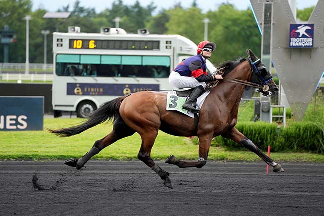 Photo d'arrivée de la course pmu PRIX SITA à PARIS-VINCENNES le Mardi 18 juin 2024