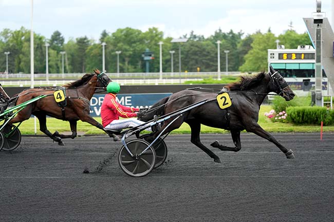 Photo d'arrivée de la course pmu PRIX SOPHROSYNE à PARIS-VINCENNES le Mardi 18 juin 2024