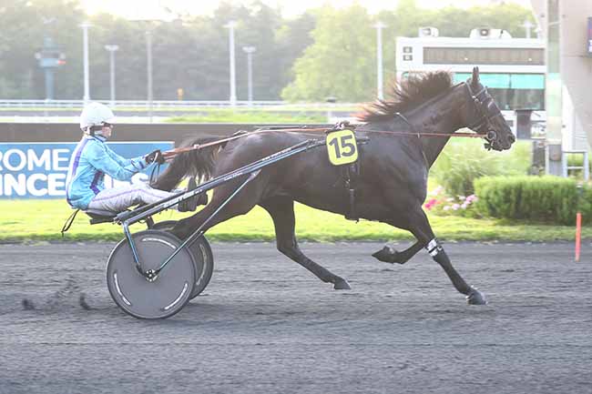Arrivée quinté pmu PRIX RHODOPE à PARIS-VINCENNES