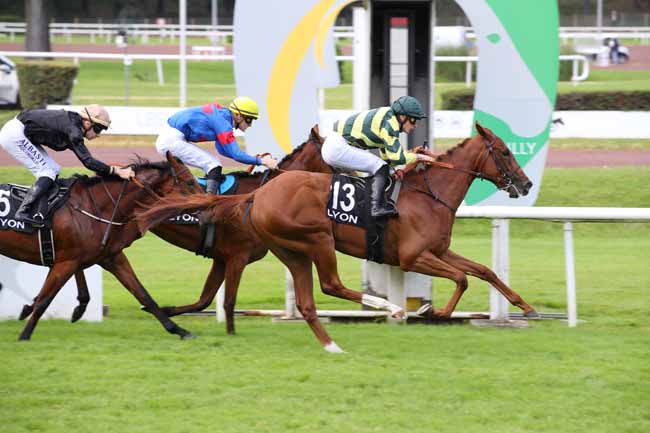 Photo d'arrivée de la course pmu PRIX DES IRIS à LYON PARILLY le Lundi 24 juin 2024