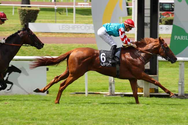 Photo d'arrivée de la course pmu PRIX ALBERT SWANN à LYON PARILLY le Lundi 24 juin 2024