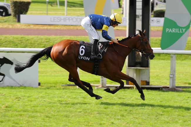Photo d'arrivée de la course pmu PRIX DES AMIS DES HIPPODROMES LYONNAIS à LYON PARILLY le Lundi 24 juin 2024