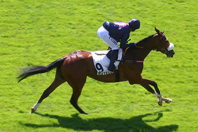 Photo d'arrivée de la course pmu PRIX FRASCATI à AUTEUIL le Mardi 25 juin 2024