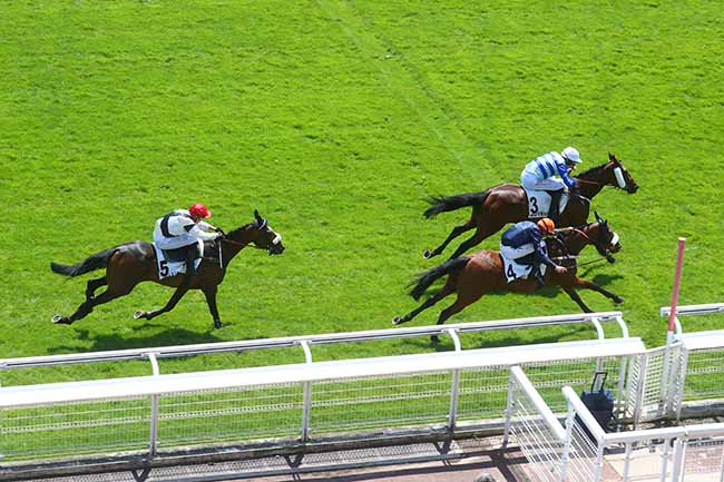 Photo d'arrivée de la course pmu PRIX GERALD DE ROCHEFORT à AUTEUIL le Mardi 25 juin 2024