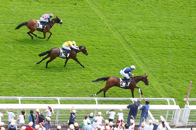 Arrivée quinté pmu PRIX D'ACHERES à AUTEUIL