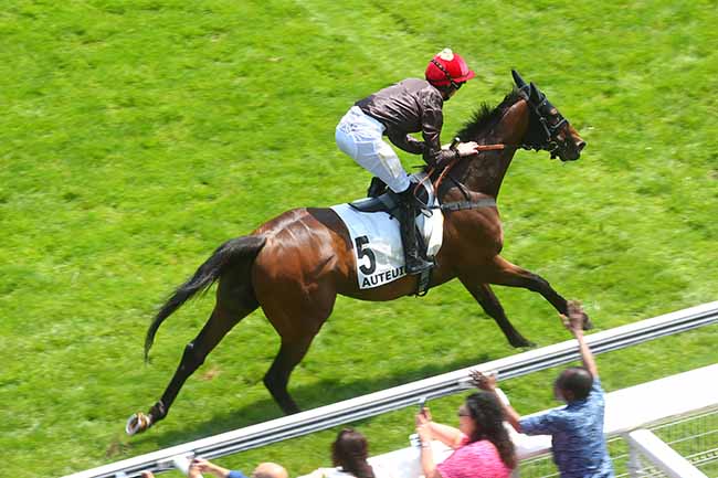 Photo d'arrivée de la course pmu PRIX DE CHANTILLY à AUTEUIL le Mardi 25 juin 2024