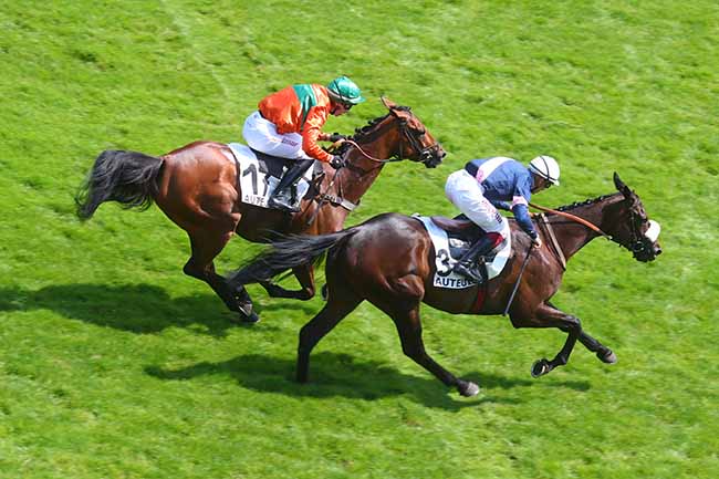 Photo d'arrivée de la course pmu PRIX PHARAON à AUTEUIL le Mardi 25 juin 2024
