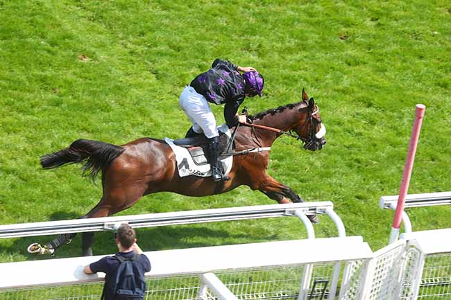 Photo d'arrivée de la course pmu PRIX DAWN RUN à AUTEUIL le Mardi 25 juin 2024