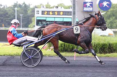 Photo d'arrivée de la course pmu PRIX ECHO à PARIS-VINCENNES le Mardi 25 juin 2024