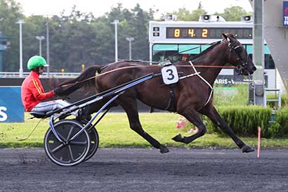 Photo d'arrivée de la course pmu PRIX IRENE à PARIS-VINCENNES le Mardi 25 juin 2024