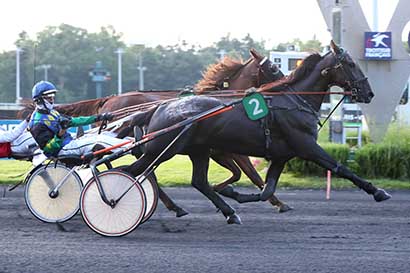 Photo d'arrivée de la course pmu PRIX GARUMNA à PARIS-VINCENNES le Mardi 25 juin 2024