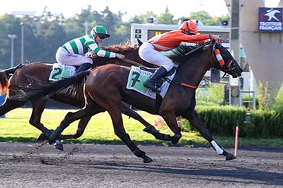 Photo d'arrivée de la course pmu PRIX ALGINA à PARIS-VINCENNES le Mardi 25 juin 2024