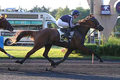 Photo d'arrivée de la course pmu PRIX ISTRIA à PARIS-VINCENNES le Mardi 25 juin 2024