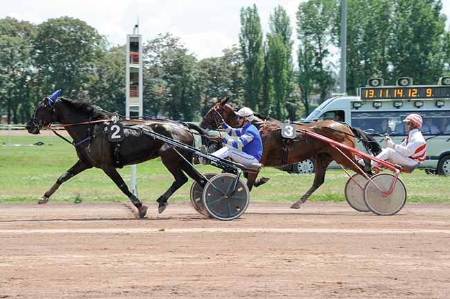 Photo d'arrivée de la course pmu PRIX DE COSNE-SUR-LOIRE à VICHY le Mercredi 26 juin 2024