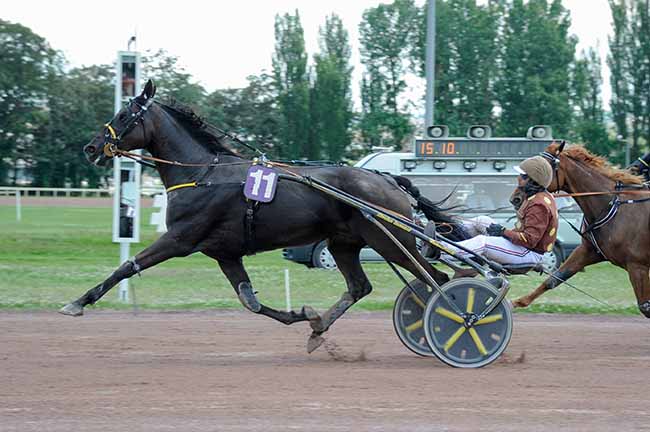 Arrivée quinté pmu PRIX DE BEAUMONT DE LOMAGNE à VICHY