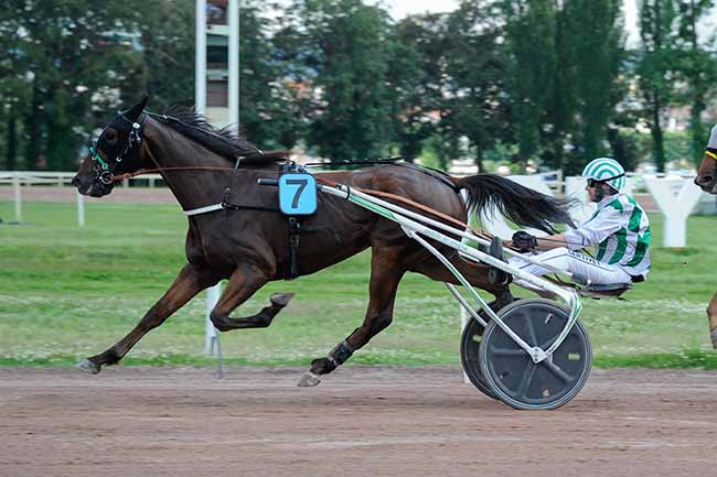 Photo d'arrivée de la course pmu PRIX DE ROCHEFORT-MONTAGNE à VICHY le Mercredi 26 juin 2024