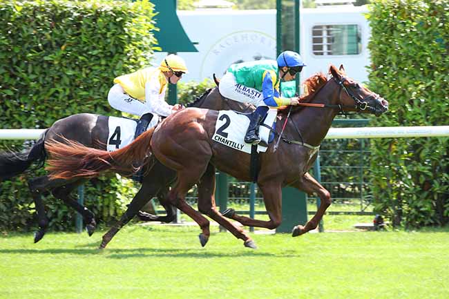 Photo d'arrivée de la course pmu PRIX DE LA CROIX DES VENEURS à CHANTILLY le Mercredi 26 juin 2024