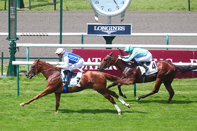 Photo d'arrivée de la course pmu PRIX DE VINEUIL à CHANTILLY le Mercredi 26 juin 2024