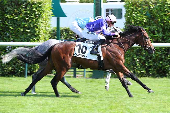 Photo d'arrivée de la course pmu PRIX JOHN CUNNINGTON JR à CHANTILLY le Mercredi 26 juin 2024