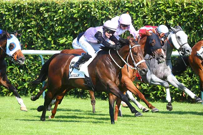 Photo d'arrivée de la course pmu PRIX DU NOYER à CHANTILLY le Mercredi 26 juin 2024