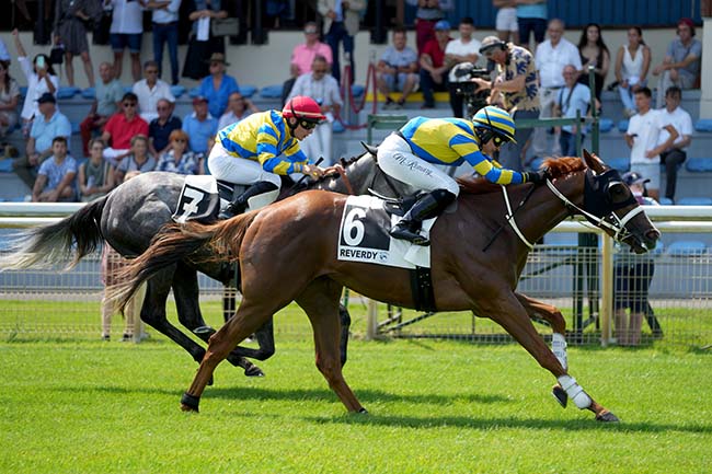 Photo d'arrivée de la course pmu PRIX REVERDY NUTRITION EQUINE à LA TESTE DE BUCH le Jeudi 27 juin 2024