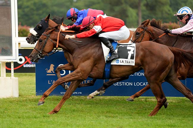 Photo d'arrivée de la course pmu PRIX DE L'HIPPODROME DE GABARRET à LA TESTE DE BUCH le Jeudi 27 juin 2024