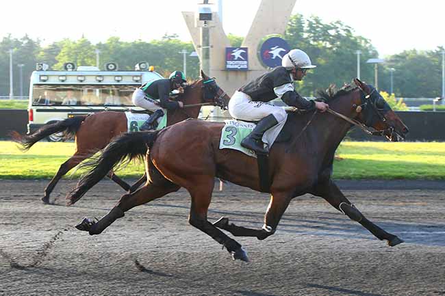 Photo d'arrivée de la course pmu PRIX FURNERIUS à PARIS-VINCENNES le Vendredi 28 juin 2024