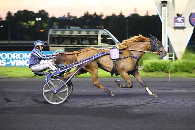 Photo d'arrivée de la course pmu PRIX THALIA à PARIS-VINCENNES le Vendredi 28 juin 2024