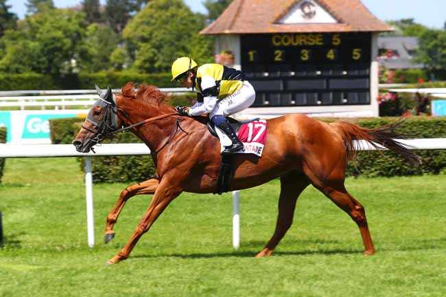 Photo d'arrivée de la course pmu PRIX POLE TES - TERRITOIRE (PRIX DU CHEMIN DU TOCQ) à CLAIREFONTAINE le Vendredi 28 juin 2024