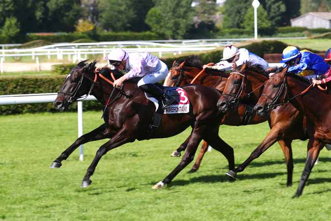 Photo d'arrivée de la course pmu PRIX POLE TES - INDUSTRIE & SUPLY CHAIN (PRIX DE LA ROUTE DES ROSERAIES) à CLAIREFONTAINE le Vendredi 28 juin 2024