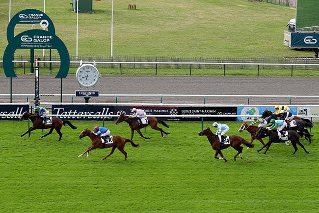 Photo d'arrivée de la course pmu PRIX DE L'AIRE CANTILIENNE (PRIX B.P.E LECIEUX) à CHANTILLY le Samedi 29 juin 2024