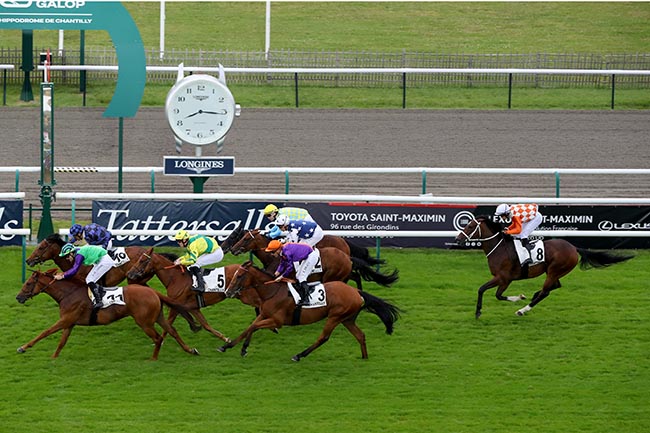 Photo d'arrivée de la course pmu PRIX DES LIONS - TROPHEE STUDIO HARCOURT à CHANTILLY le Samedi 29 juin 2024