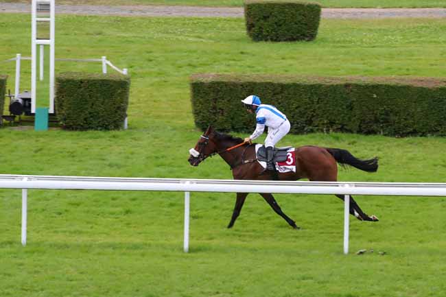 Photo d'arrivée de la course pmu PRIX VILLE DE BENERVILLE-SUR-MER (PRIX DES ŒILLETS) à CLAIREFONTAINE le Lundi 1 juillet 2024