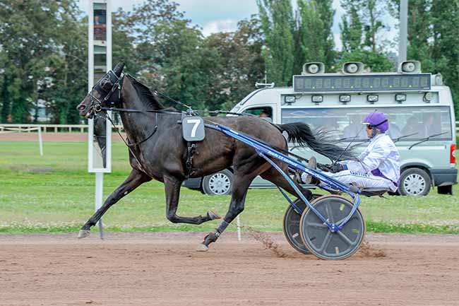 Photo d'arrivée de la course pmu PRIX JEROME SALAMANI à VICHY le Mardi 2 juillet 2024