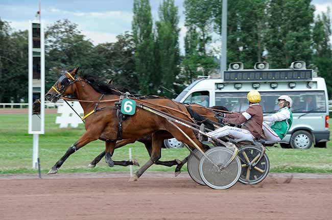 Arrivée quinté pmu PRIX JEAN-MICHEL BAZIRE à VICHY