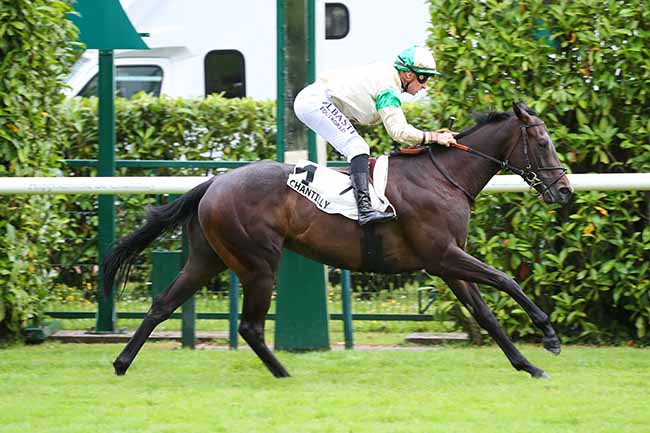 Photo d'arrivée de la course pmu PRIX DE LA VERRERIE à CHANTILLY le Mardi 2 juillet 2024