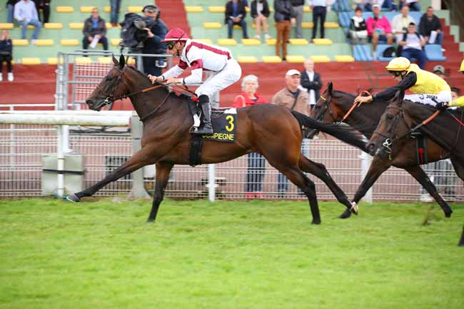 Photo d'arrivée de la course pmu PRIX D'EMEVILLE à COMPIEGNE le Vendredi 12 juillet 2024