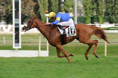 Photo d'arrivée de la course pmu PRIX DE LUSIGNY à VICHY le Mardi 16 juillet 2024