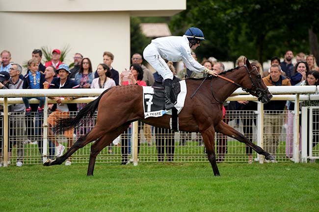 Photo d'arrivée de la course pmu PRIX LA SORELLINA - CHATEAU DE PORTETS à LA TESTE DE BUCH le Dimanche 21 juillet 2024