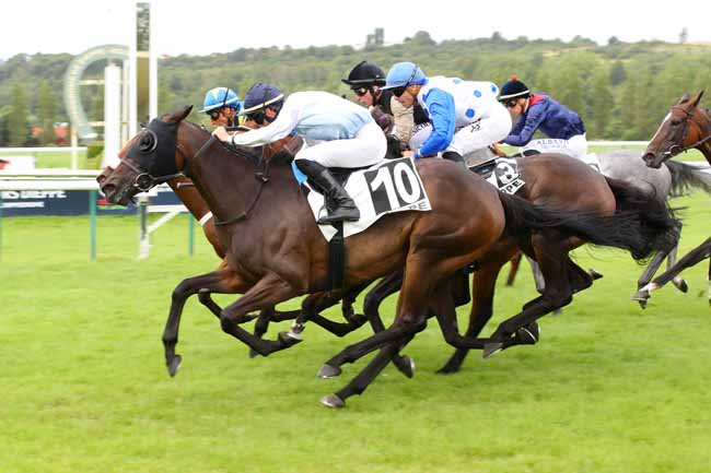 Photo d'arrivée de la course pmu PRIX DJSL BOIS (PRIX DU GRAND PONT) à DIEPPE le Mardi 23 juillet 2024