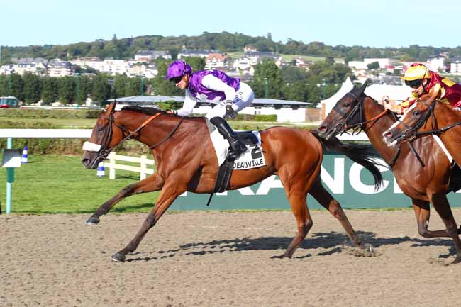 Photo d'arrivée de la course pmu PRIX DE PONT-L'EVEQUE à DEAUVILLE le Dimanche 28 juillet 2024
